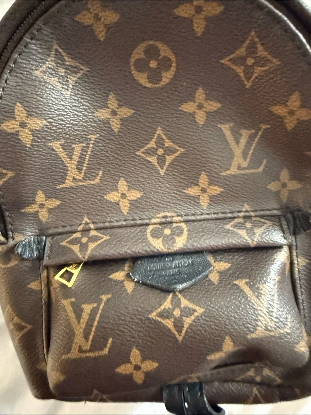 Louis vuitton mini palm springs backpack